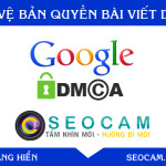 Hướng dẫn Báo cáo vi phạm DMCA và bảo vệ bản quyền nội dung
