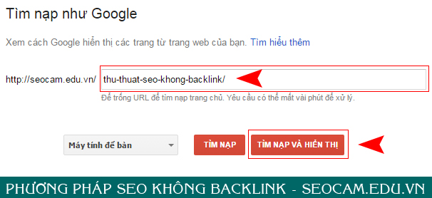 seo-khong-backlink