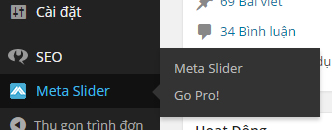 Chọn Meta Slider trong wordpress