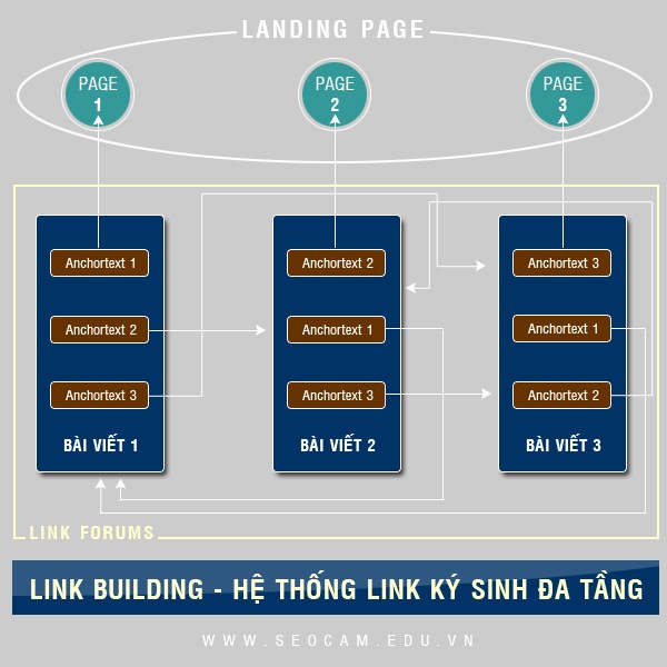 link-building-ky-sinh