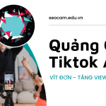 Dịch Vụ Quảng Cáo TikTok Ads – Bán Hàng Triệu View